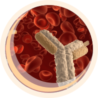 Immunohealth (иммунохелс)